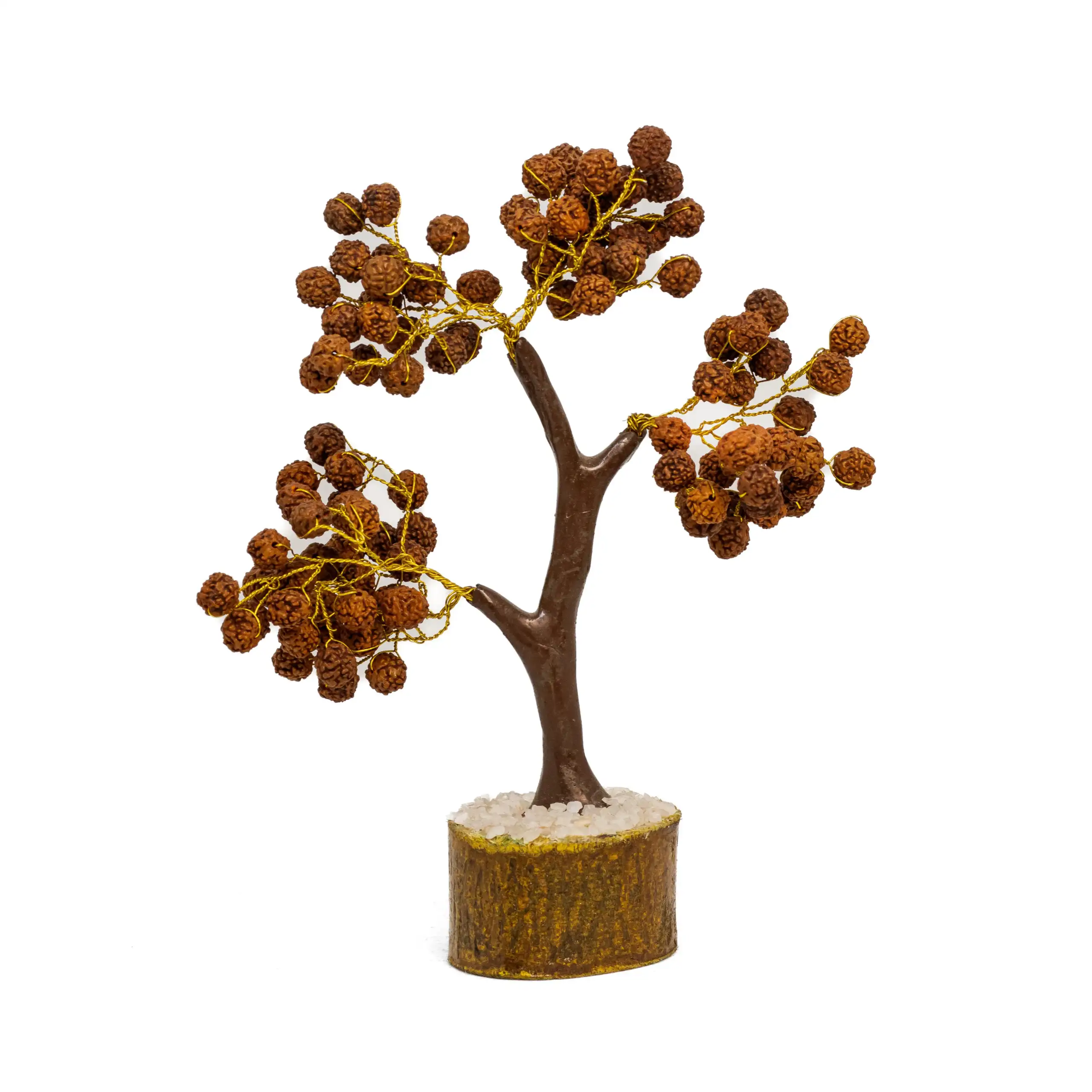 Rudraksha Tree with Gold Wire