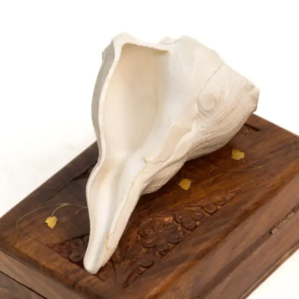 Dakshinavarti Shankh