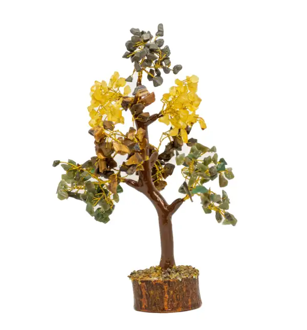 Money Attraction Tree