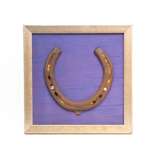 Good Luck Horse Shoe with a Blue silk background in Wooden frame